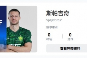 已完成補報？中足聯官網顯示，斯帕吉奇出現在國安陣中