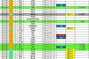 三鎮、海牛、鐵人、銅梁龍2026中超聯賽報名名單（夏窗後）